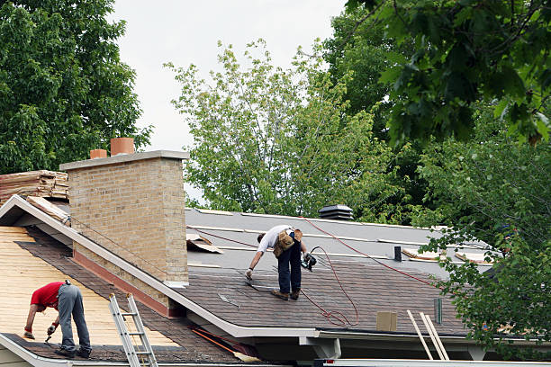 Best Roof Leak Repair  in Ddleville, MI