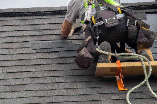 Best Residential Roofing Contractor  in Ddleville, MI