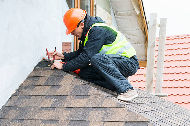 Best Shingle Roofing Installation  in Ddleville, MI