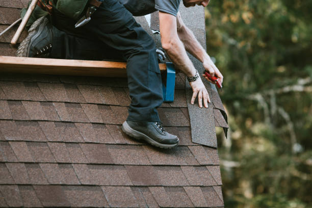 Best Residential Roofing Contractor  in Ddleville, MI