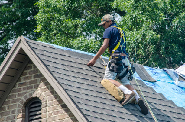 Best Residential Roofing Contractor  in Ddleville, MI